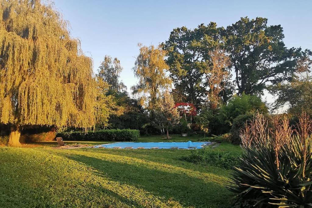 La Villa Du Lac A Mesnil Saint Pere 外观 照片